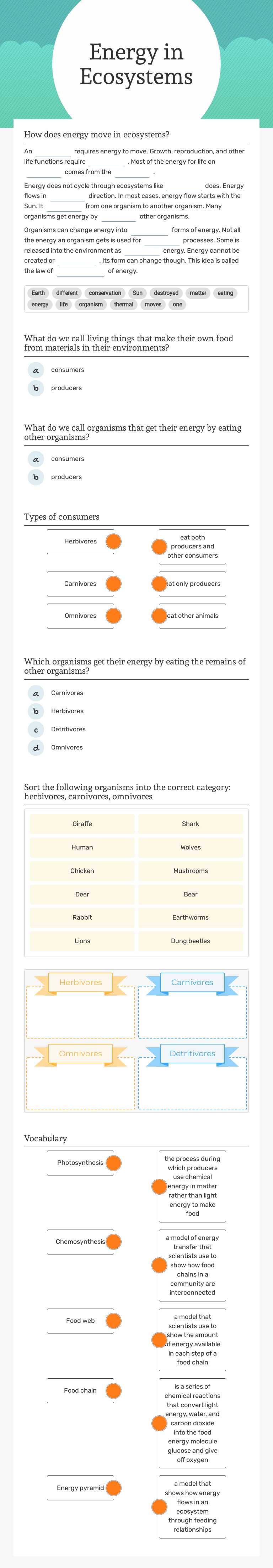 Energy in Ecosystems worksheet preview image