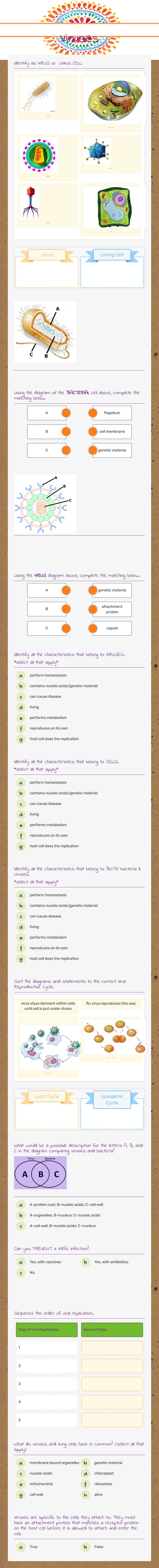 Viruses worksheet preview image