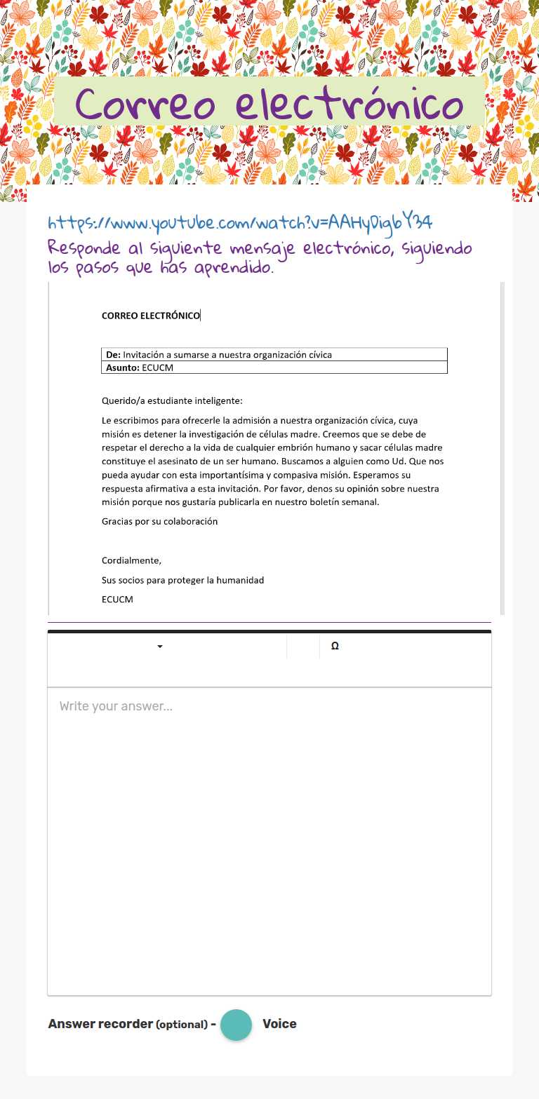 Correo electrónico worksheet preview image
