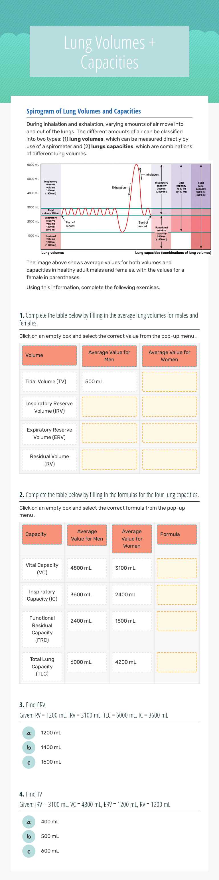 Lung Volumes + Capacities Other worksheet preview