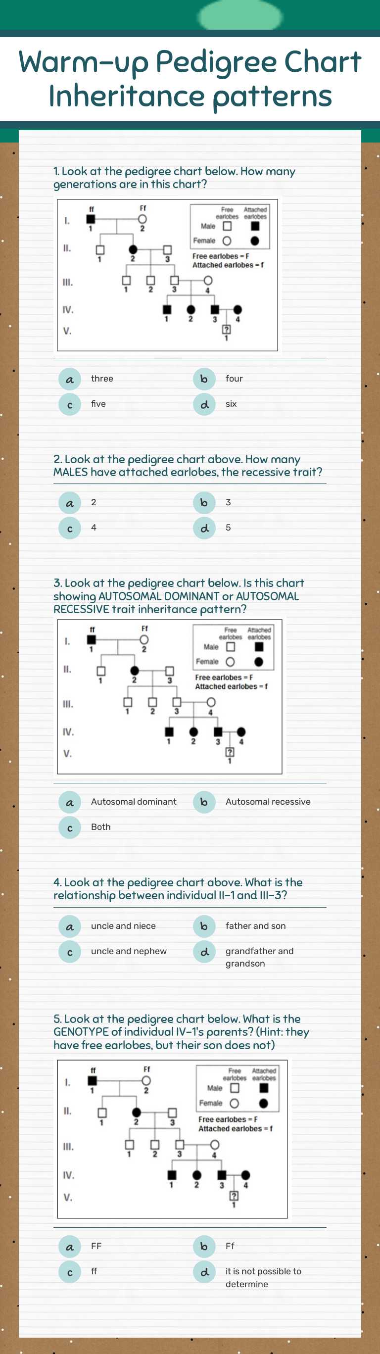 Warm-up
Pedigree Chart Inheritance patterns worksheet preview image