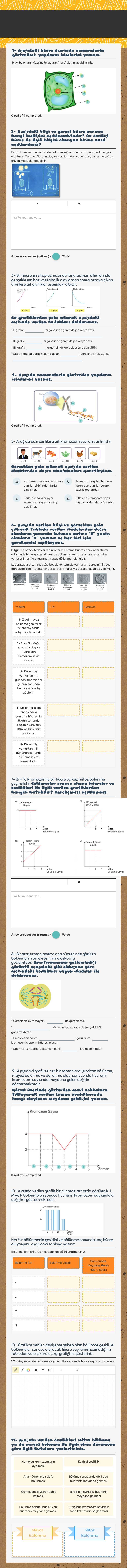 Hücre ve Bölünmeler Değerlendirme Grade 7 worksheet preview