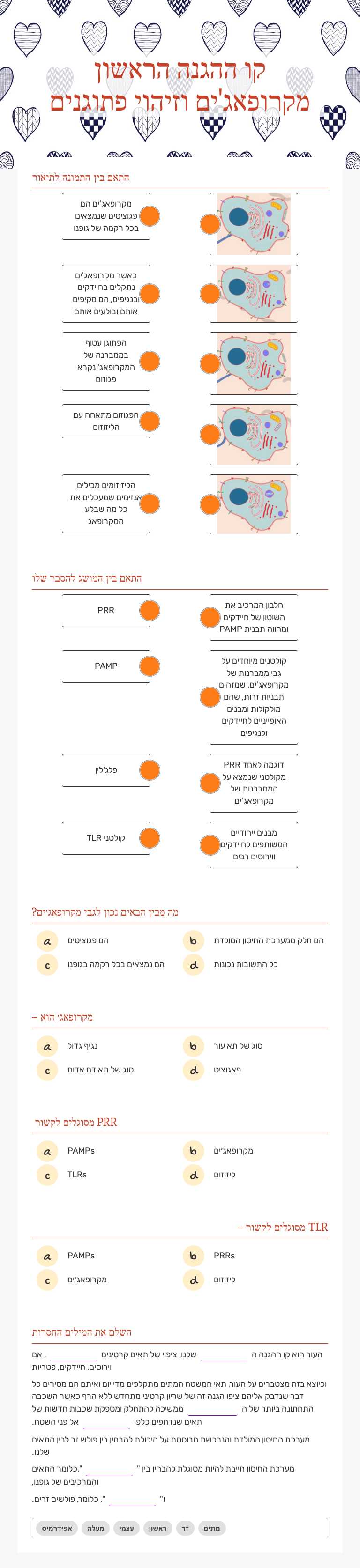 קו ההגנה הראשון מקרופאג'ים וזיהוי פתוגנים Grade 10 worksheet preview