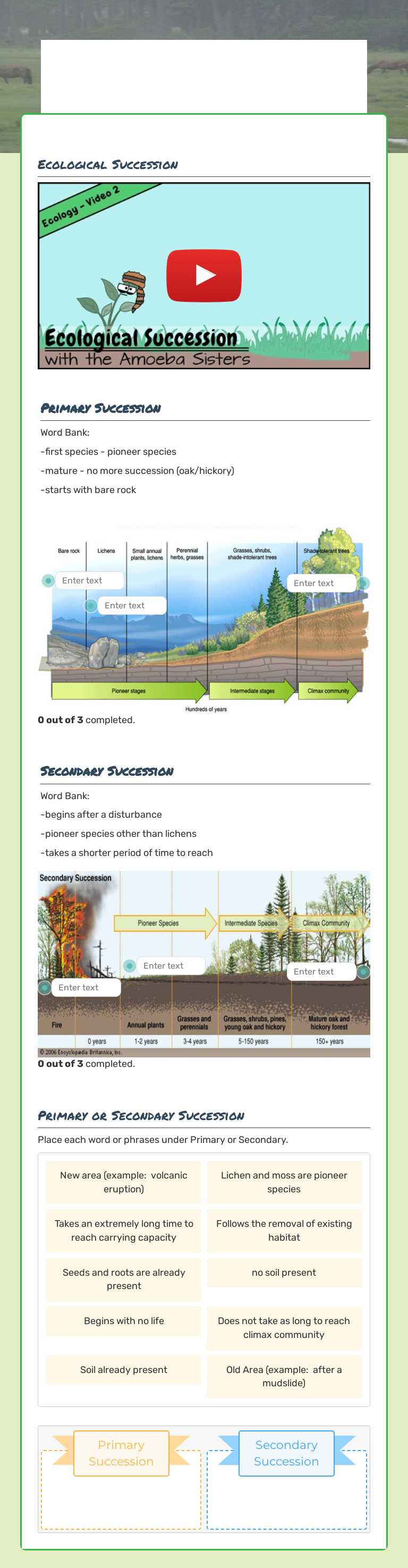 Ecological Succession worksheet preview image