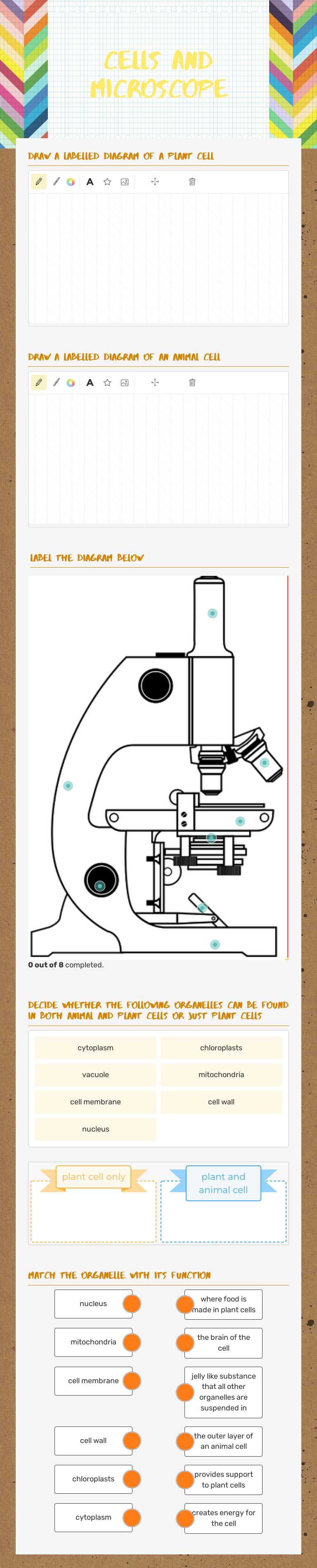 Cells and Microscope worksheet preview image