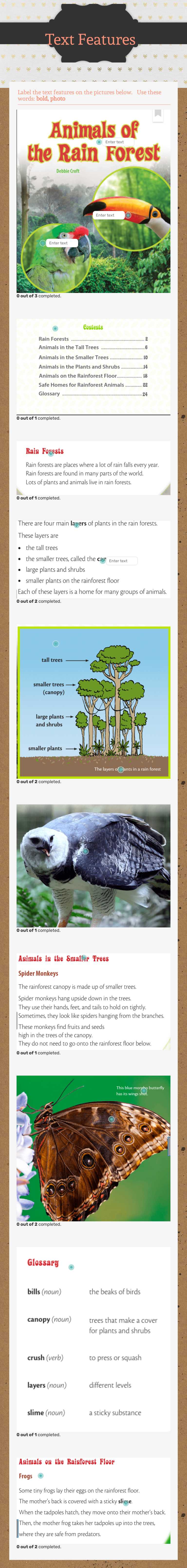 Text Features Grade 3 worksheet preview