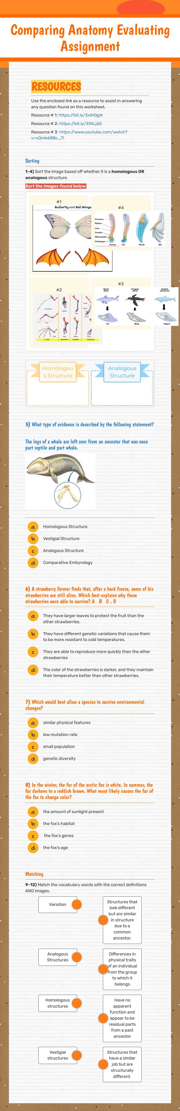 Comparing Anatomy                          
  Evaluating Assignment worksheet preview image