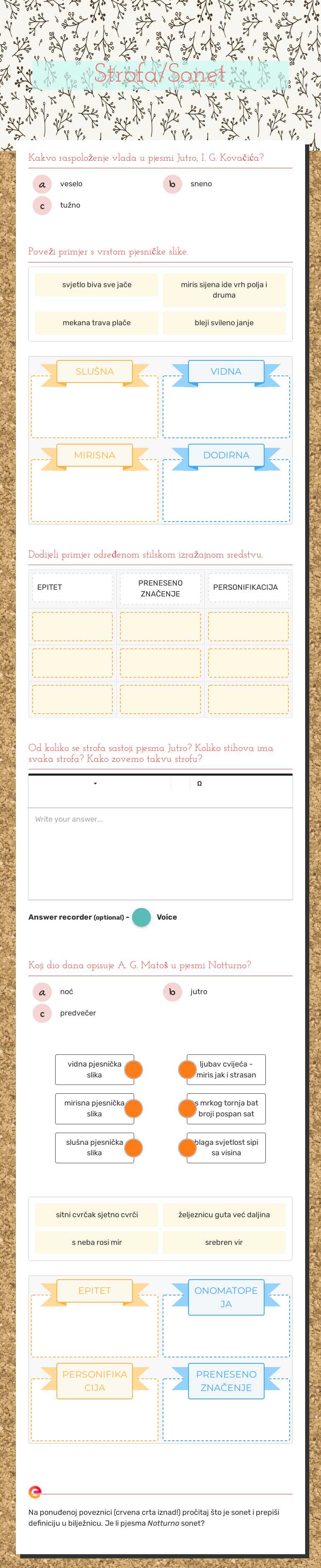 Strofa/Sonet worksheet preview image