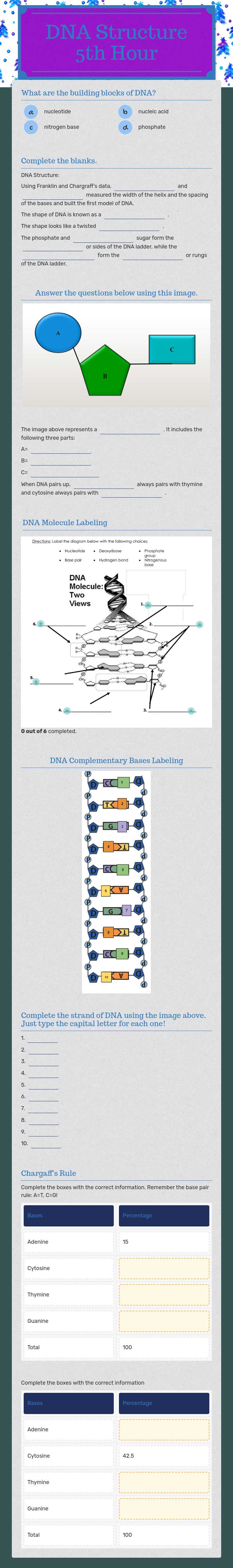 DNA Structure 5th Hour worksheet preview image