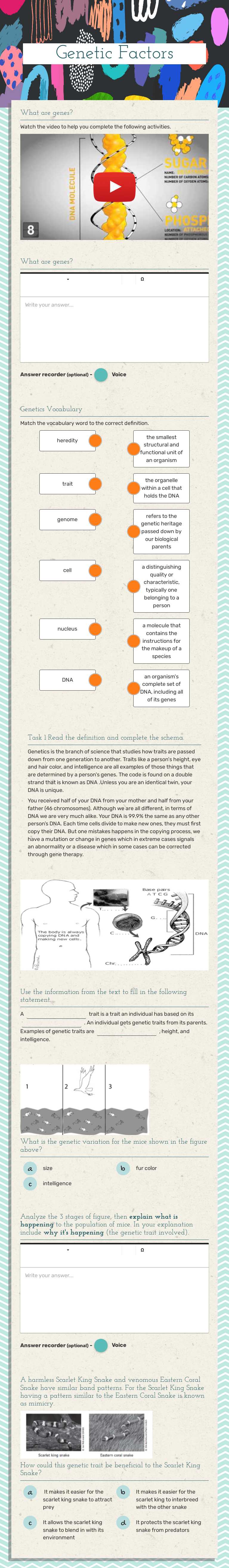 Genetic Factors Grade 10 worksheet preview