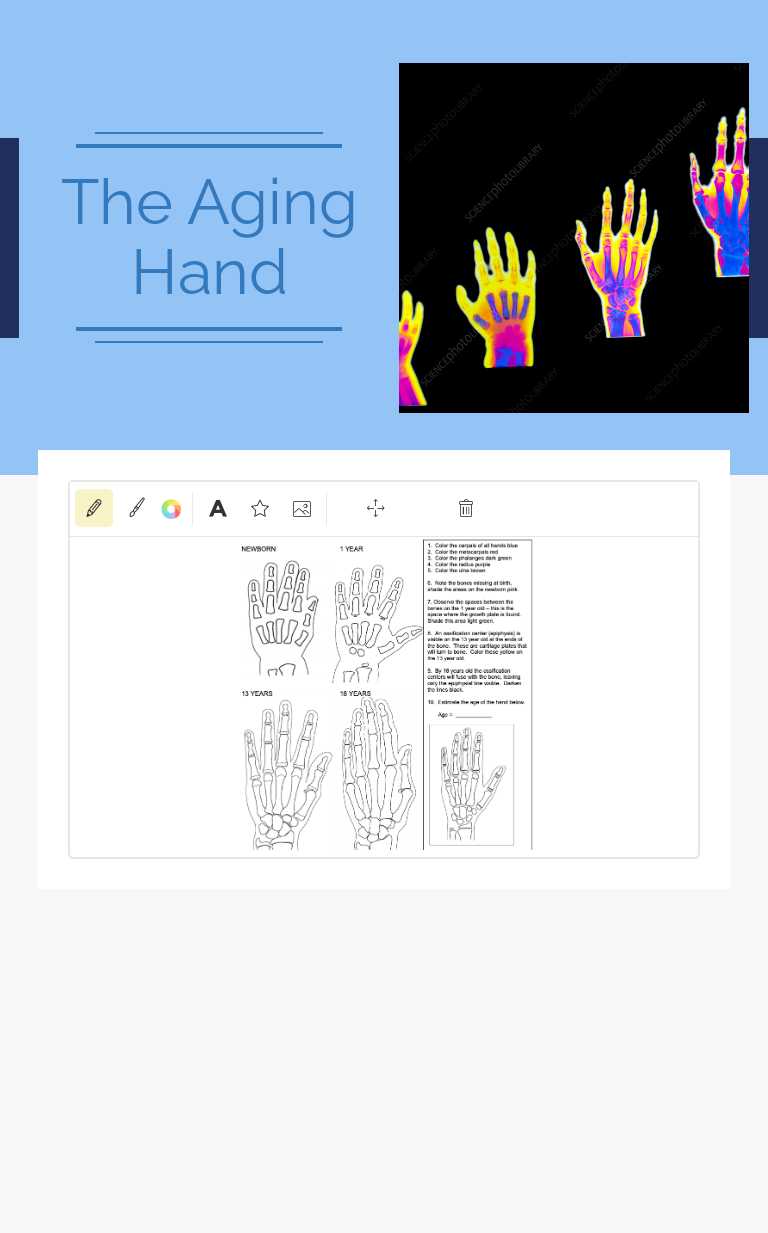 The Aging Hand Grade 10 worksheet preview