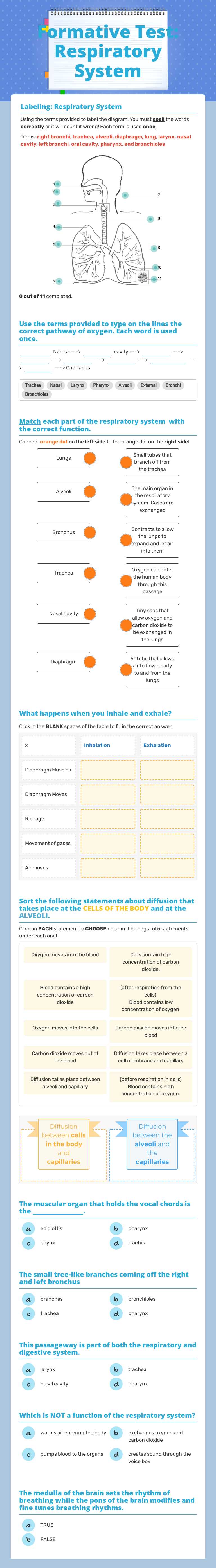 Formative Test: Respiratory System worksheet preview image