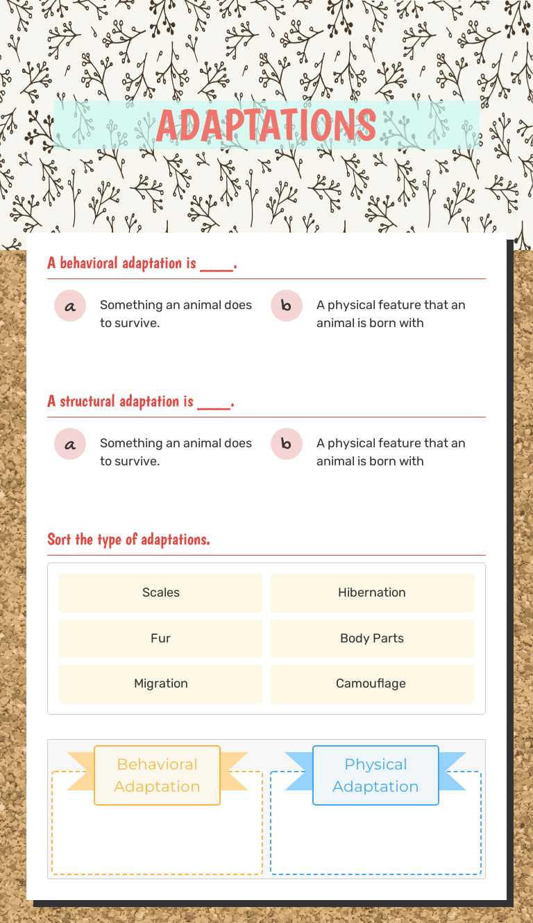 ADAPTATIONS worksheet preview image