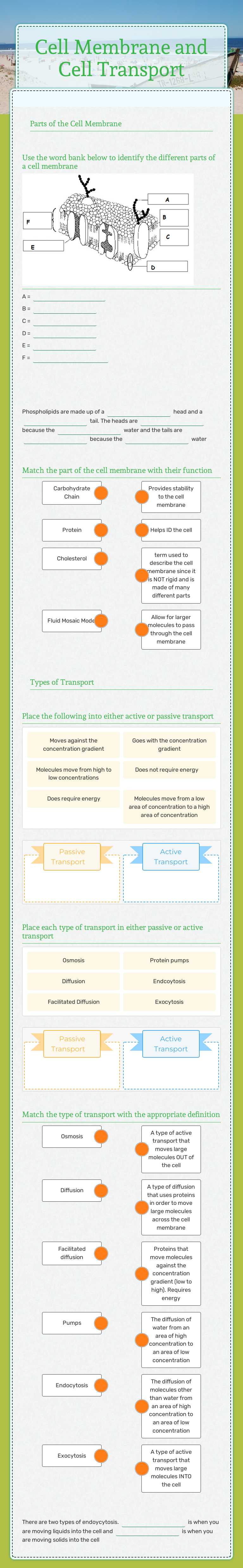 Cell Membrane and Cell Transport worksheet preview image