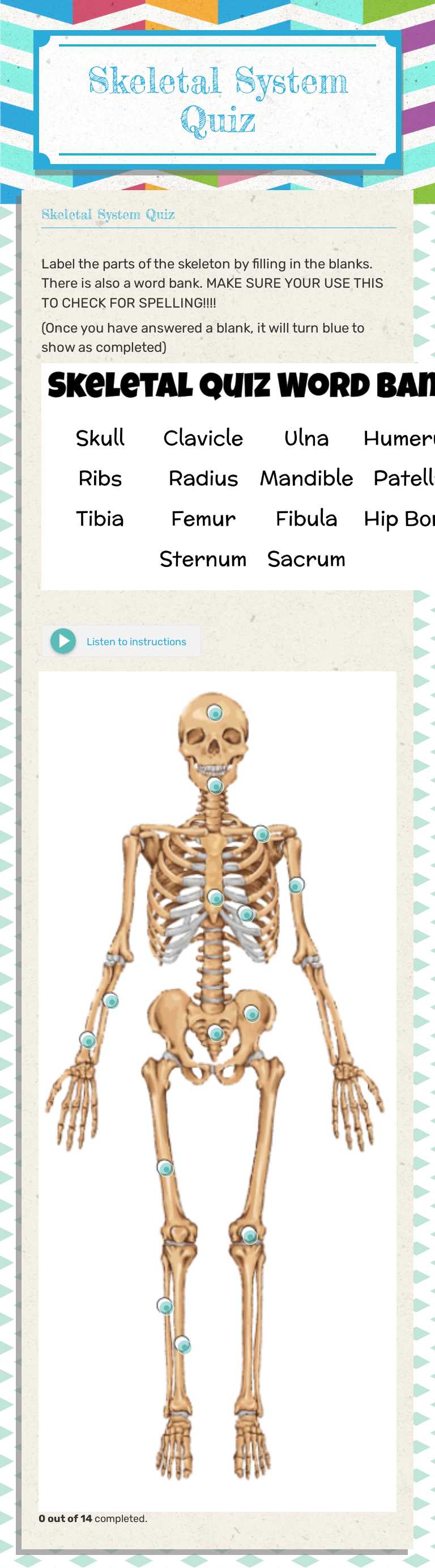 Skeletal System Quiz worksheet preview image