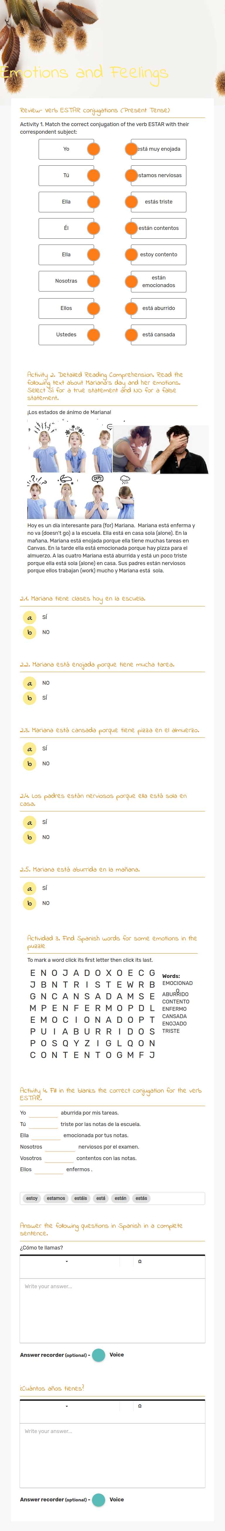 Emotions and Feelings worksheet preview image