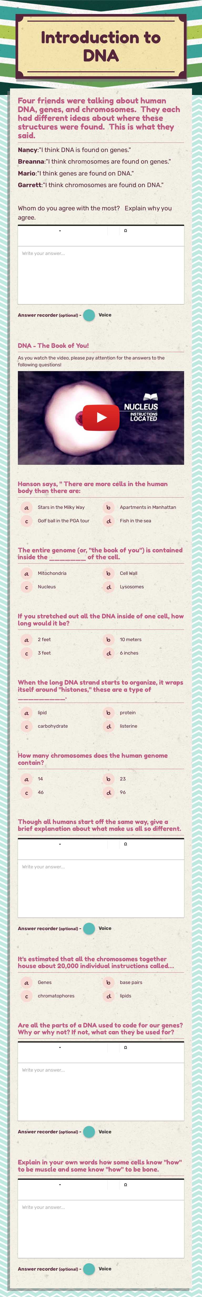 Introduction to DNA worksheet preview image