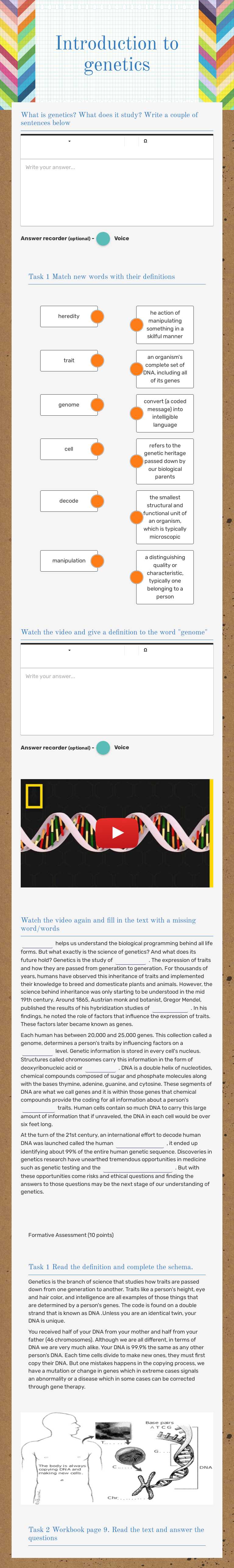 Introduction to genetics Grade 10 worksheet preview