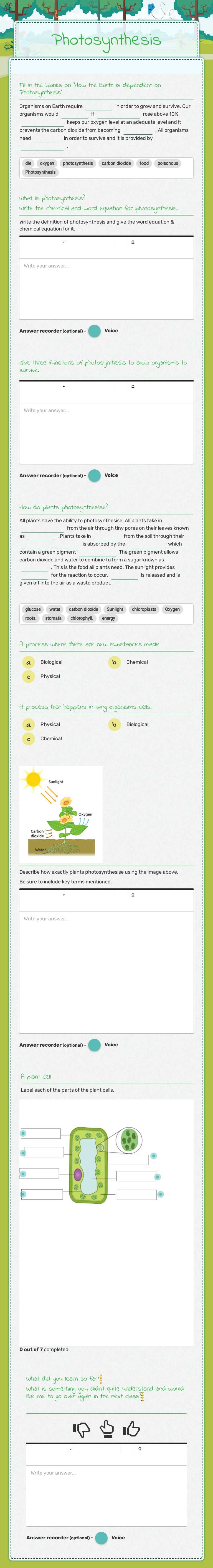 Photosynthesis worksheet preview image