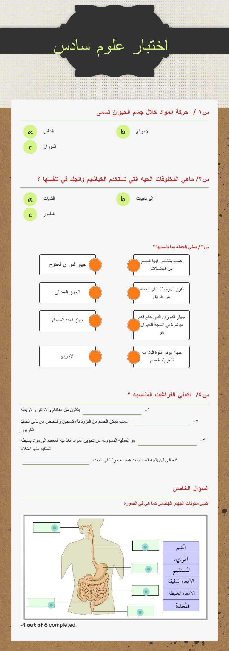 اختبار علوم سادس worksheet preview image