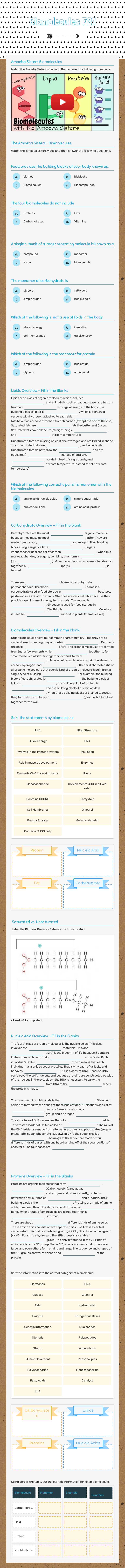 Biomolecules F21 worksheet preview image