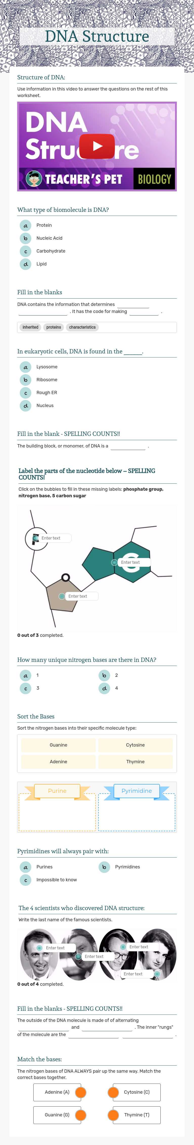 DNA Structure worksheet preview image