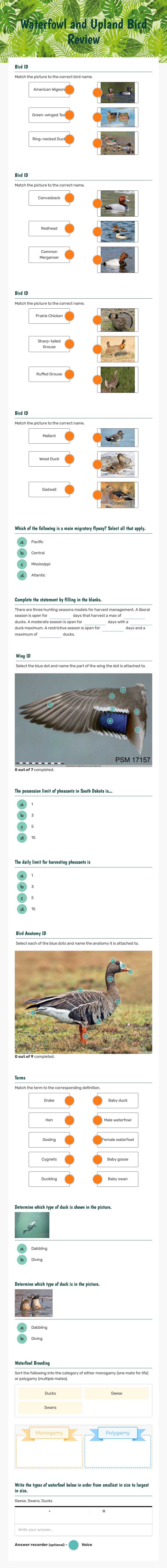 Waterfowl and Upland Bird Review worksheet preview image