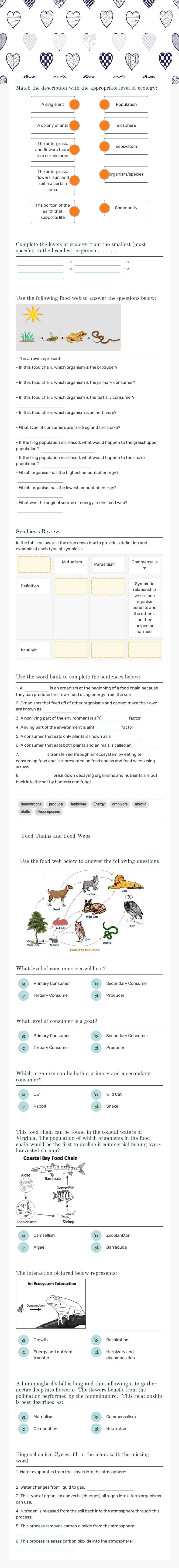 Ecology Grade 10 worksheet preview