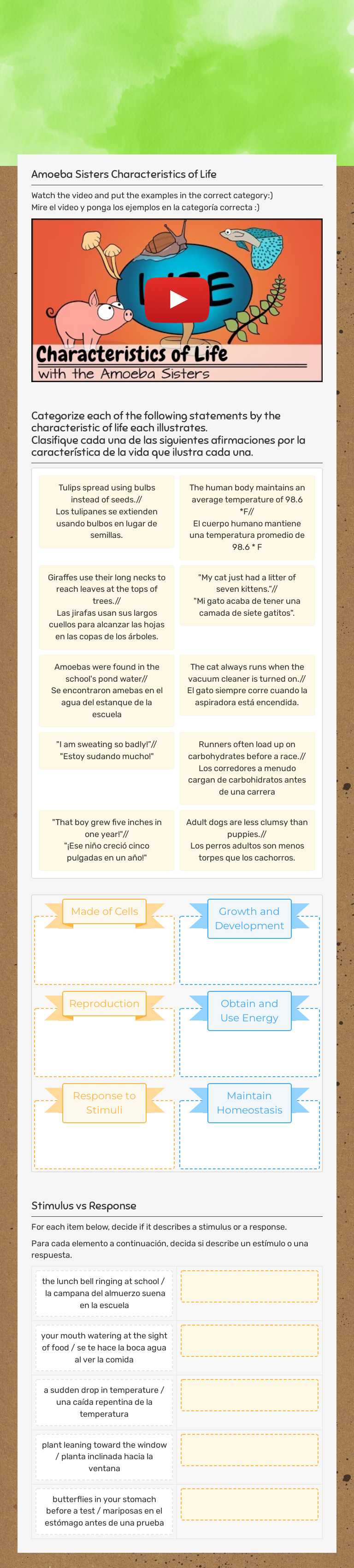 Characteristics of Life worksheet preview image