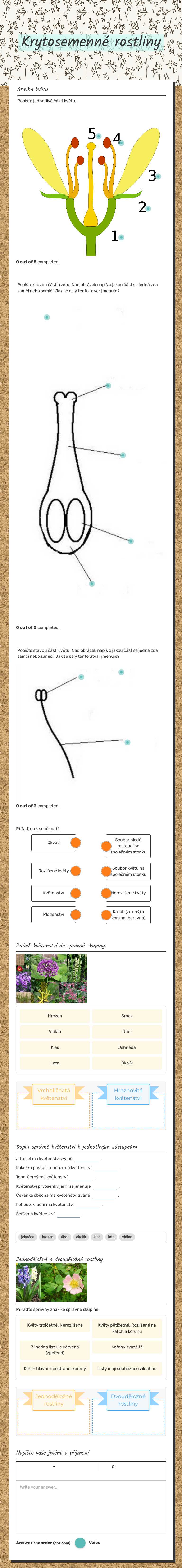 Krytosemenné rostliny worksheet preview image