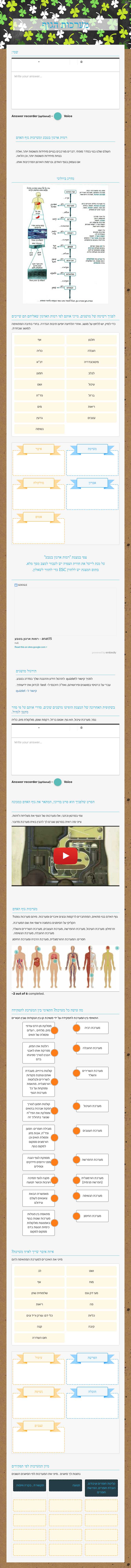 מערכות הגוף worksheet preview image
