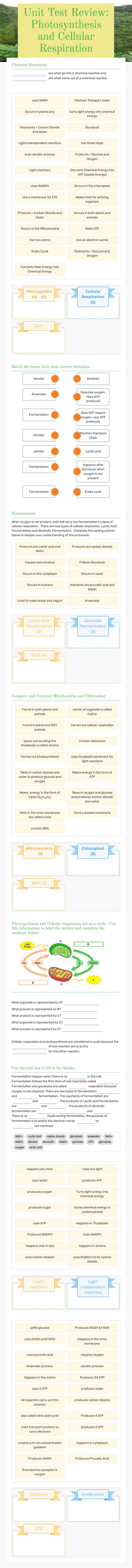 Unit Test Review: 
 Photosynthesis and Cellular Respiration worksheet preview image