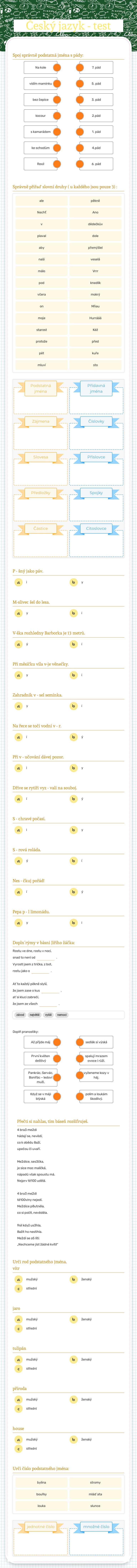 Český jazyk - test Grade 3 worksheet preview