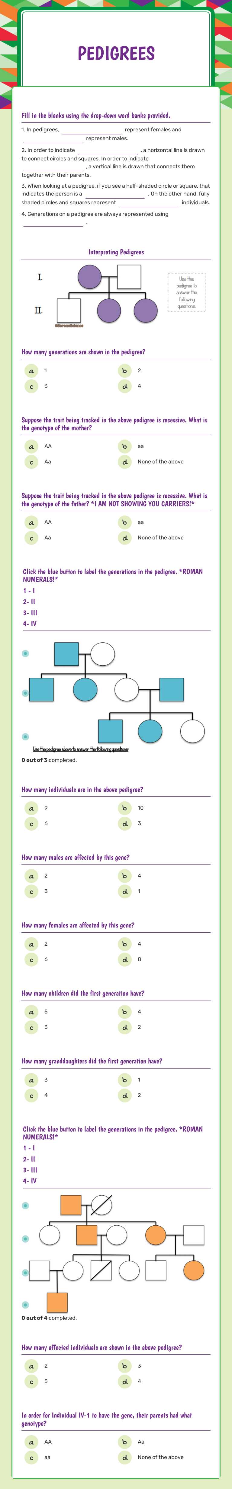 Pedigrees worksheet preview image