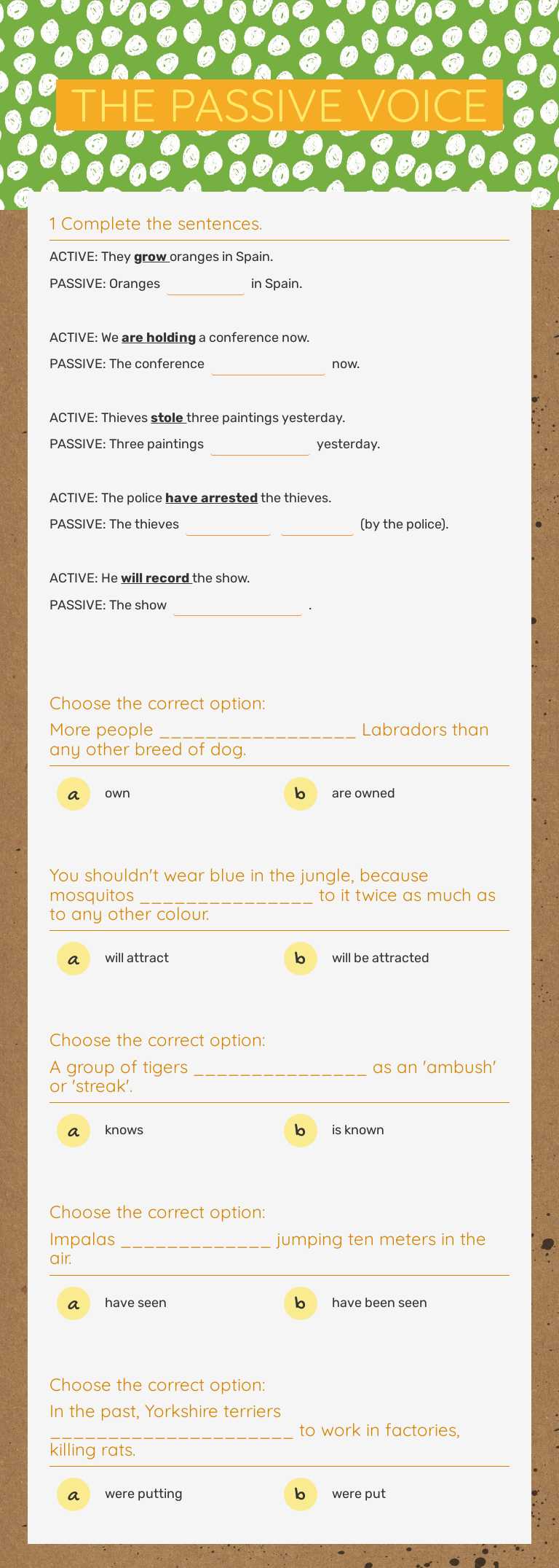 THE PASSIVE VOICE Other worksheet preview