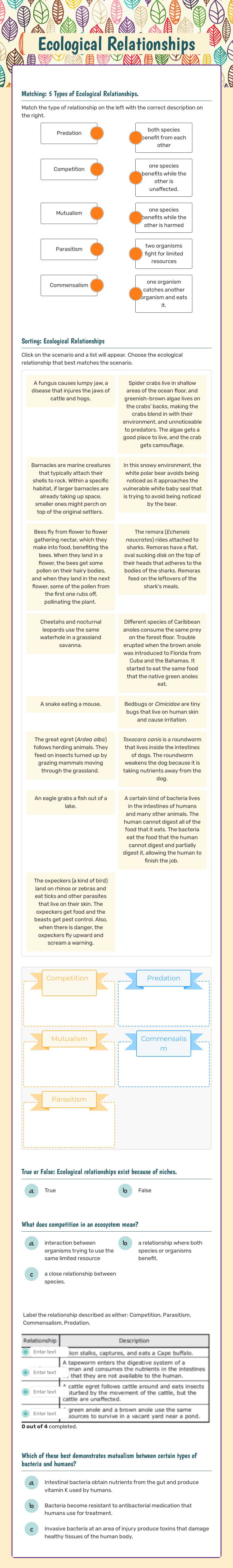 Ecological Relationships worksheet preview image