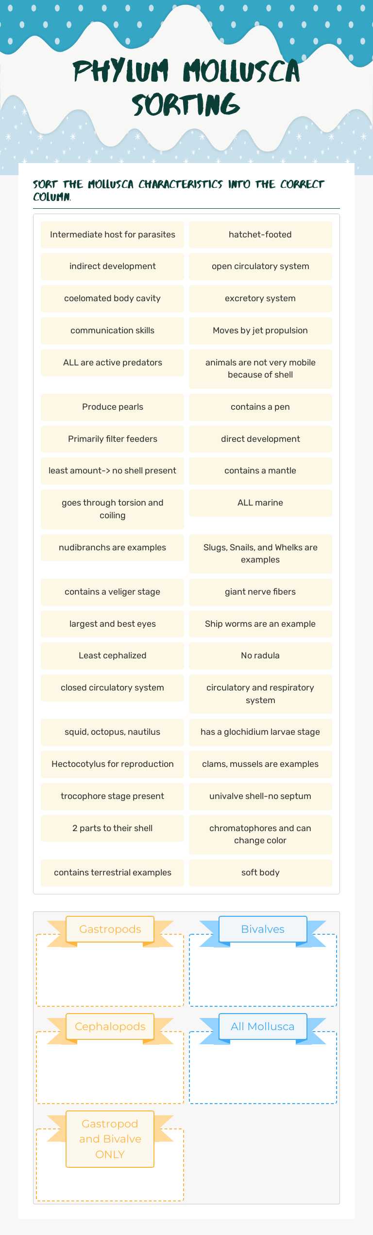 Phylum Mollusca Sorting worksheet preview image