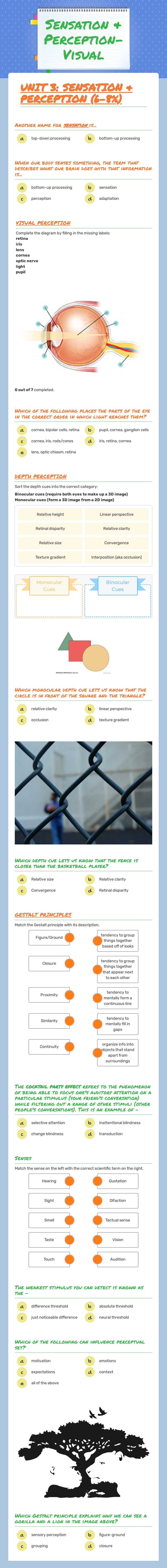 Sensation & Perception-Visual worksheet preview image