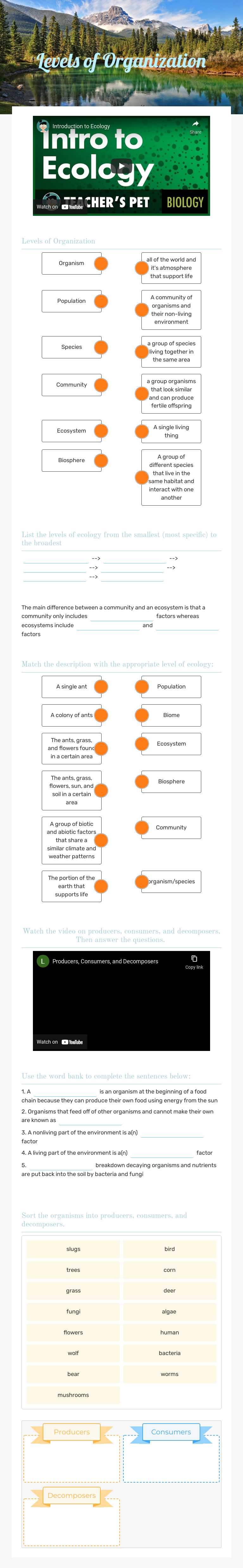 Levels of Organization Grade 9 worksheet preview