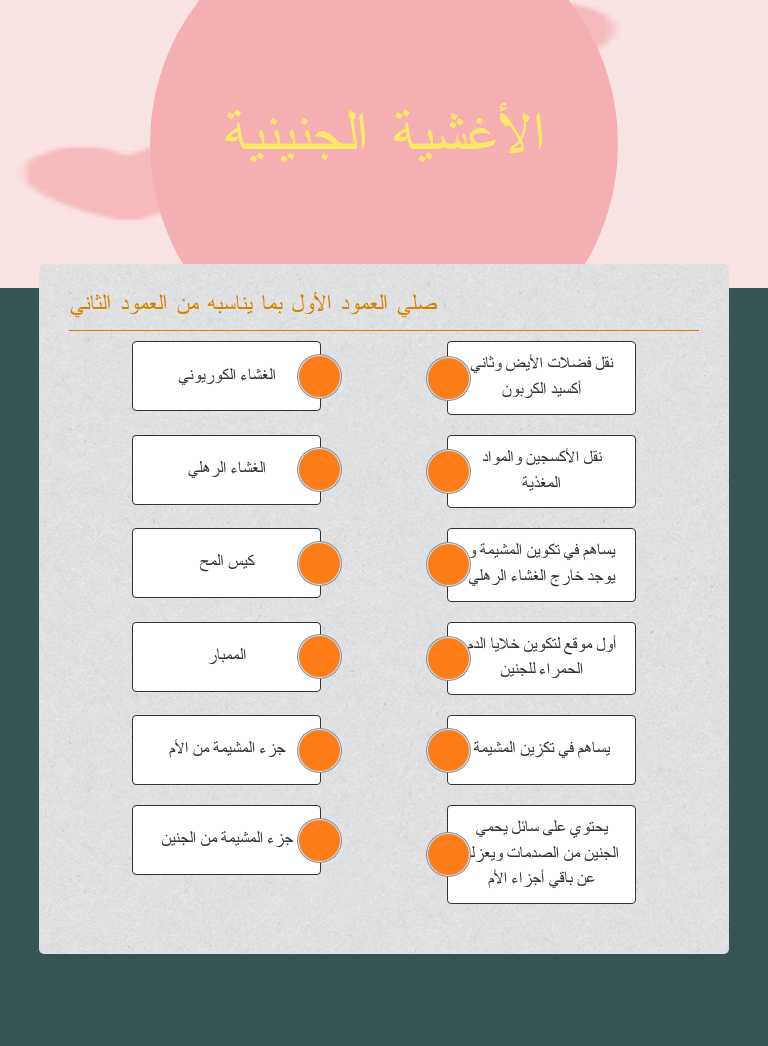 الأغشية الجنينية worksheet preview image