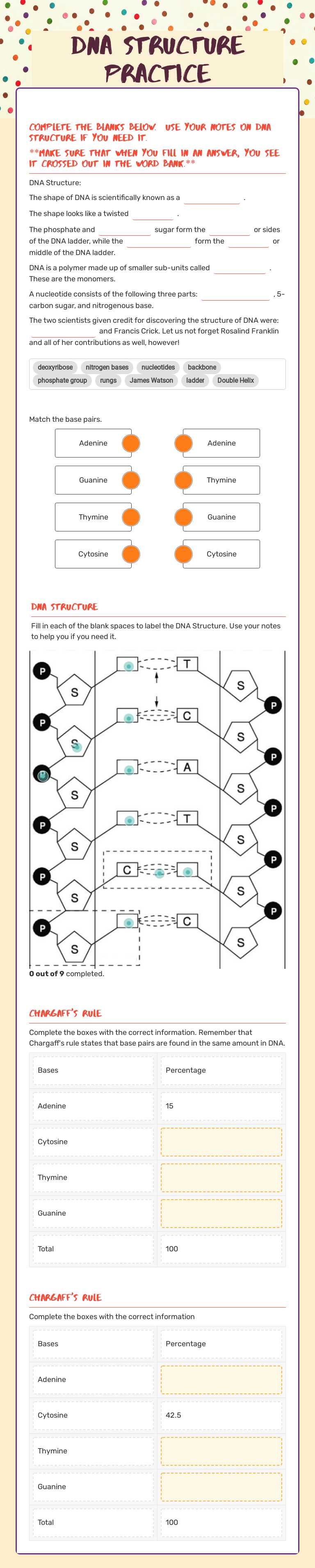 DNA Structure Practice worksheet preview image