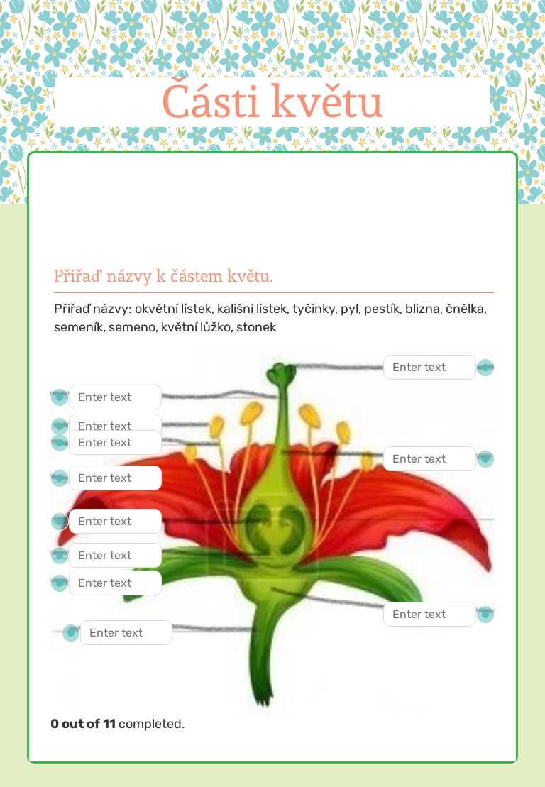 Části květu worksheet preview image