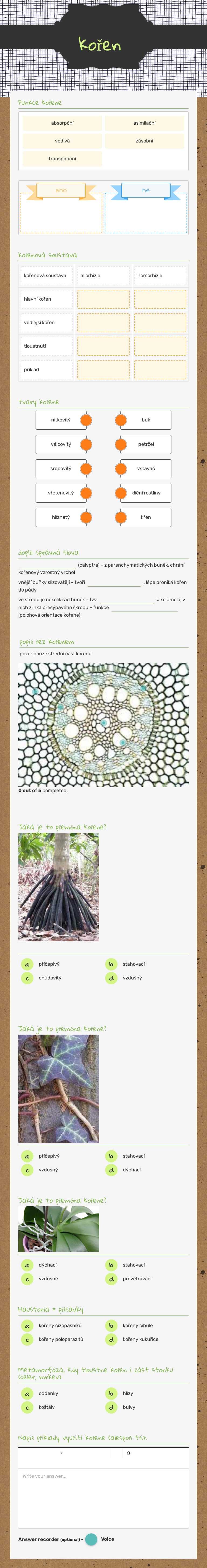 kořen worksheet preview image