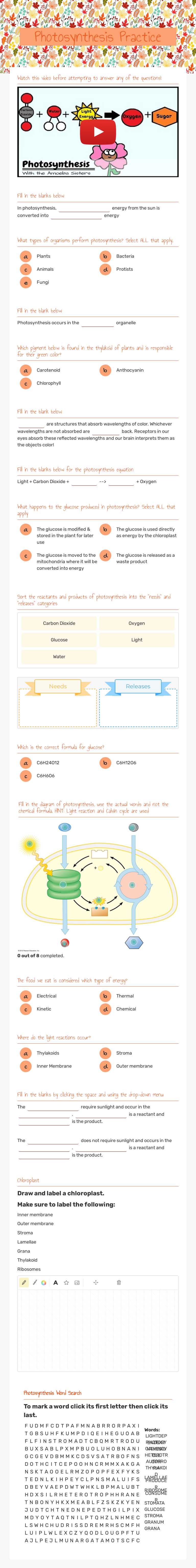 Photosynthesis Practice Grade 10 worksheet preview