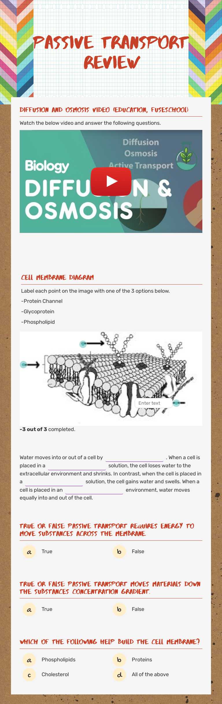 Passive transport review Grade 10 worksheet preview