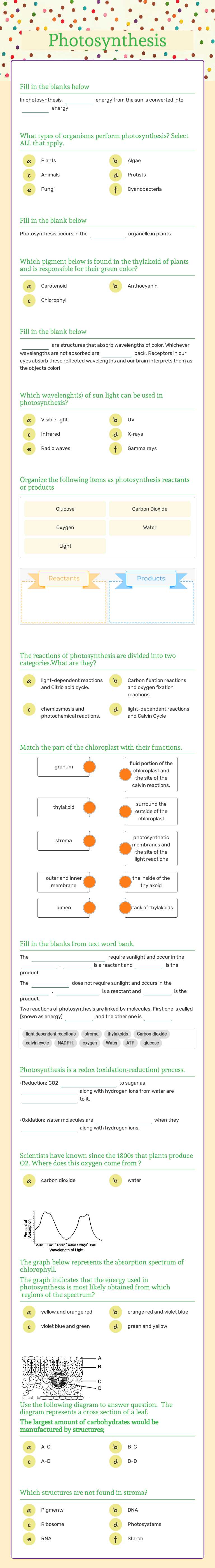 Photosynthesis worksheet preview image