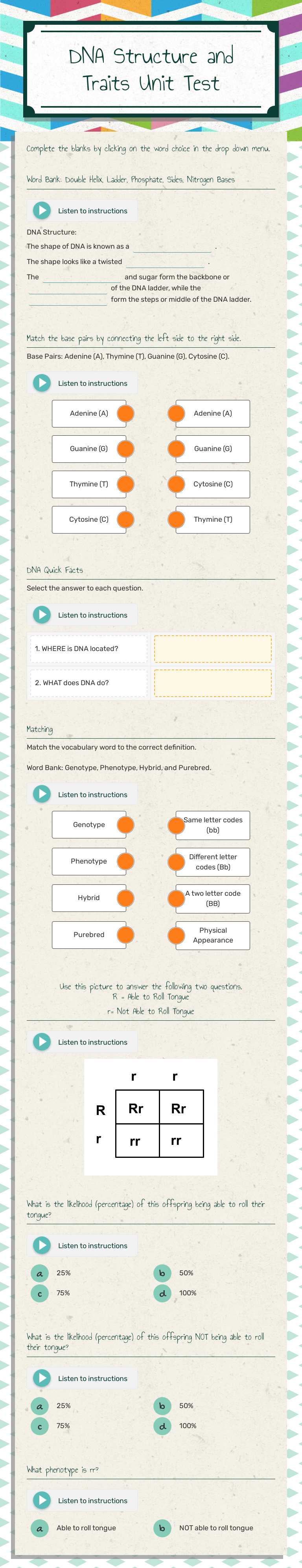 DNA Structure and Traits Unit Test worksheet preview image
