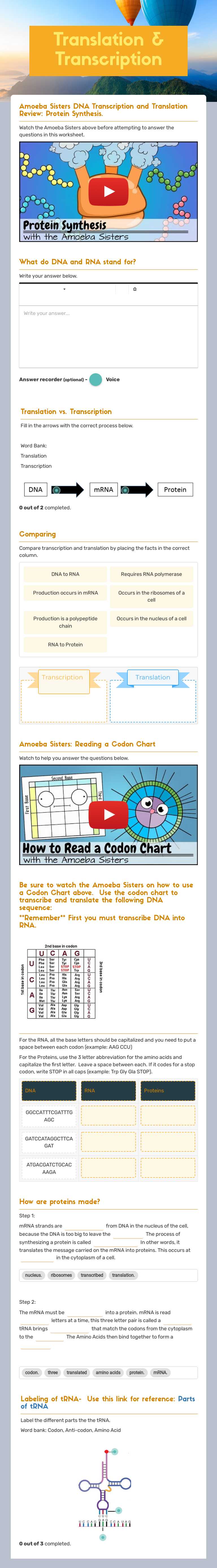 Translation & Transcription worksheet preview image
