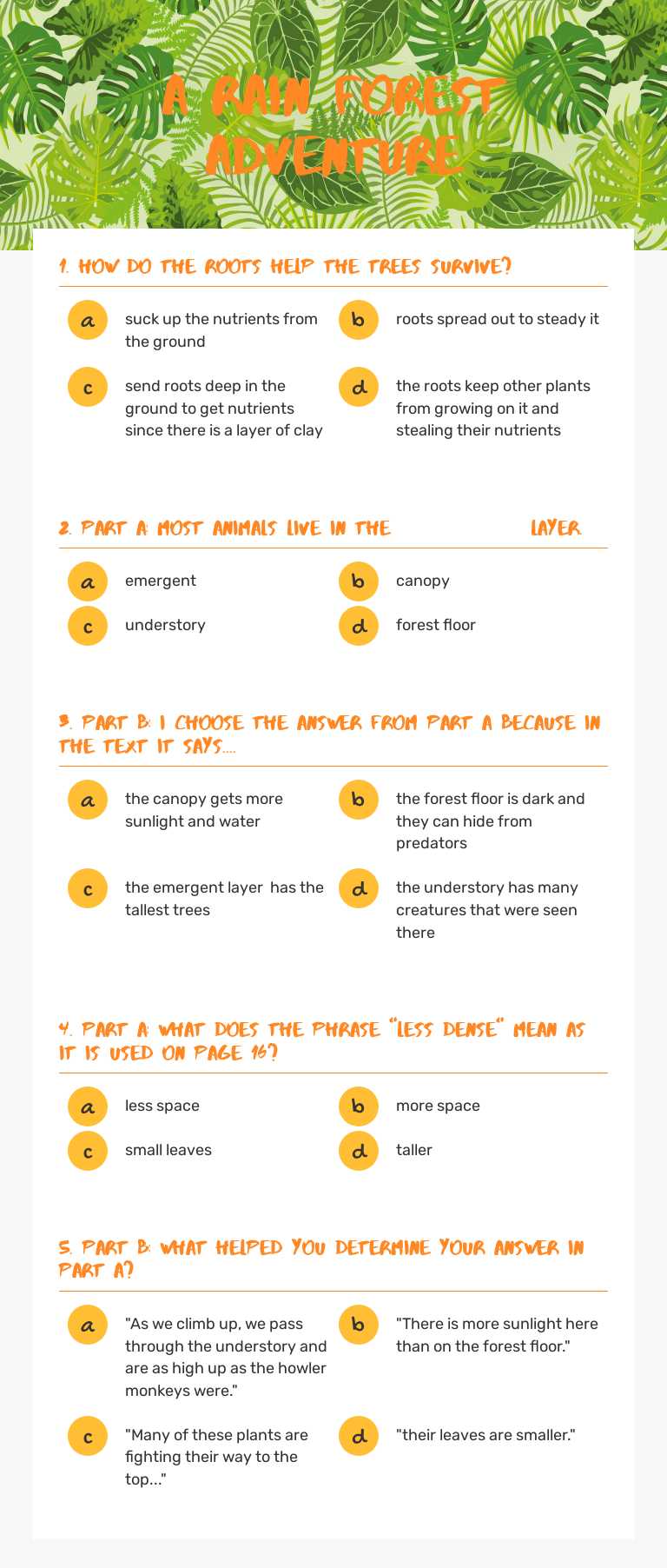 A Rain forest adventure worksheet preview image