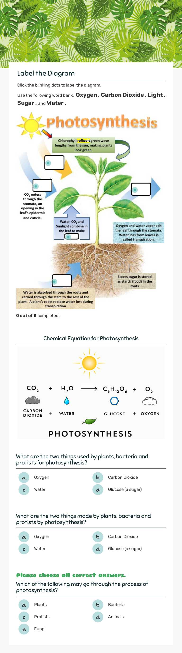 PHOTOSYNTHESIS worksheet preview image